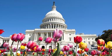 Our patients and NEREG have been busy over the last few months.