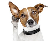 Epilepsy on the move: Stay tuned