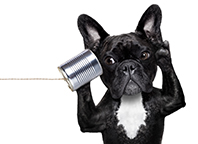 Epilepsy on the move: Stay tuned