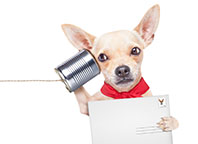 Epilepsy on the move: Stay tuned