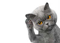 Epilepsy on the Move: Stay tuned for upcoming epilepsy and seizure disorder events and news in 2017