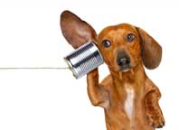 Epilepsy on the Move: Stay tuned for upcoming epilepsy and seizure disorder events and news in the second half of 2020