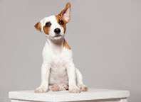 Epilepsy on the Move: Stay tuned for upcoming epilepsy and seizure disorder events and news in the second half of 2020