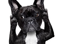 Stay tuned for epilepsy on the move: There are exciting activities in the works and coming up soon.