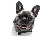 Epilepsy on the Move: Stay tuned for upcoming epilepsy and seizure disorder events and news in the last quarter of 2021!