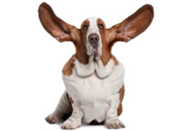 Stay Tuned for upcoming events