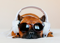 Epilepsy on the Move: Stay tuned for upcoming epilepsy and seizure disorder events and news in the last quarter of 2022!