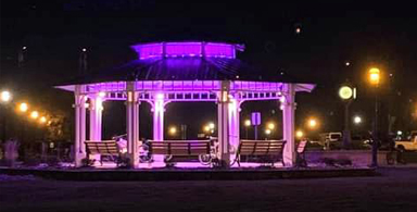 Our epilepsy and seizures community of patients, family, friends and doctors has been busy!