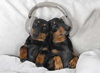 Epilepsy on the move: Stay tuned for upcoming epilepsy and seizure disorder events and news.