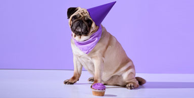 Epilepsy Survey results: For this issue, we asked our readers, Do you celebrate Purple Day®  to raise Epilepsy awareness?