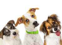 Epilepsy Community on the Move: Stay tuned for upcoming epilepsy and seizure disorder events from now until the end of 2024!