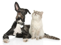 Stay tuned for upcoming epilepsy and seizure disorder events and news in the first quarter of 2025