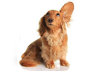 Stay tuned for upcoming epilepsy events in New York, New Jersey and Connecticut 2013