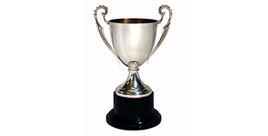 Team Northeast Regional Epilepsy Group raises the most in donations for the American Epilepsy Society in Washington, DC on April 20, 2013 and wins the AES Trophy!