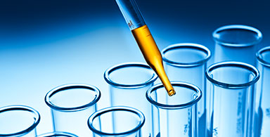 Epilepsy Research Program in New York and New Jersey