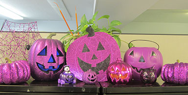 Epilepsy Activities end of year (2013): Epilepsy webinars, seminars, Purple Pumpkin Project