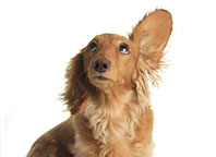 Stay Tuned for Upcoming Epilepsy Events