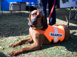 Scholarships and Funding