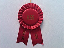 AES Award granted to our poster describing a unique Spanish neuropsychology battery of tests