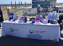 NEREG epilepsy information booth on the shore
