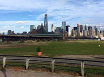 View of NYC from our 2015 epilepsy walk