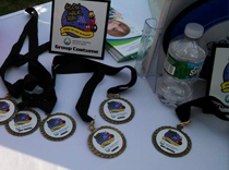 Medals for costumes at epilepsy walk