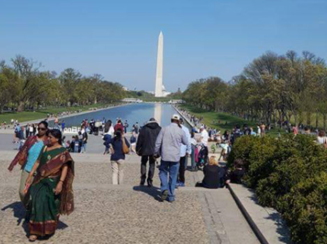 Beautiful DC hosted our epilepsy walk