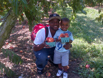 Peach picking experts