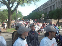 Hundreds at the 2013 national Epilepsy walk